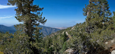 Mt-Pinos-Pano.jpg