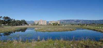 vernal-pool-1.jpg