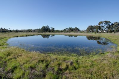 vernal-pool-4.jpg