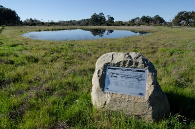 vernal-pool-6.jpg