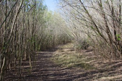 Santa-Clara-River-09.jpg