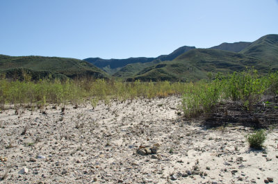Santa-Clara-River-13.jpg