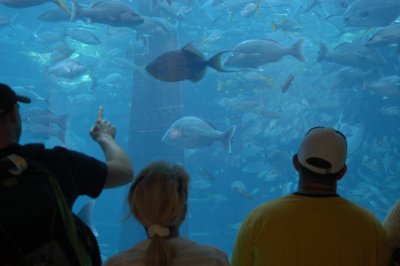 DSC_0013.JPG