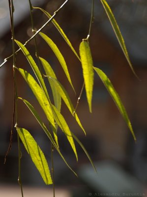 Warms day in December