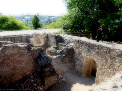 Cetatea de scaun Suceava