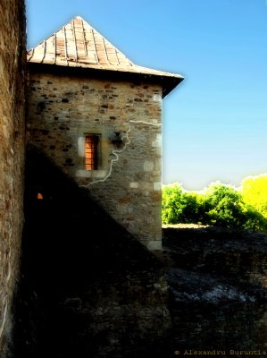 Cetatea de scaun Suceava