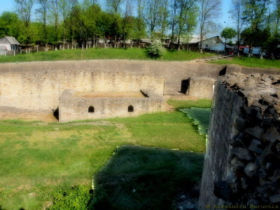 Cetatea de scaun Suceava