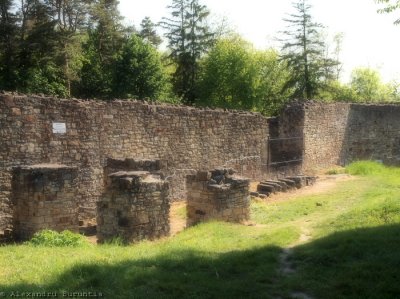 Cetatea de scaun Suceava - Loc de executie