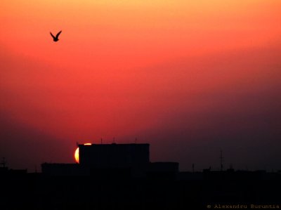 Sunrise over Parliament House