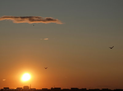 g1/48/565548/3/118293040.ZpiCeplr.jpg