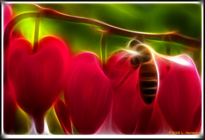 Bee frac.jpg
