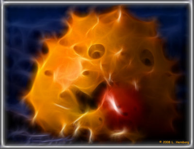 Kiwano attack frac 2.jpg