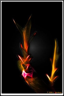 Coal, Ice & Fire - Fractals enhanced further