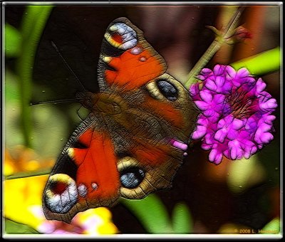 Butterfly 2 frac moti.jpg