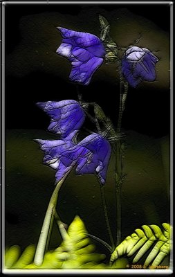 Flower-1 frac moti.jpg