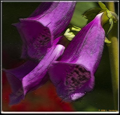 Flower-4 frac moti.jpg