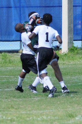 Bears_030.jpg