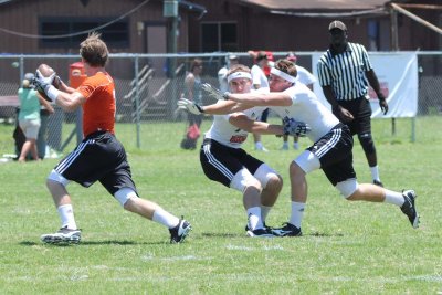 Browns_003.jpg