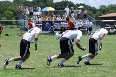 Browns_007.jpg