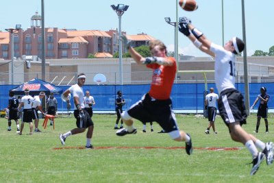 Browns_009.jpg