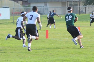 Rams _028.jpg
