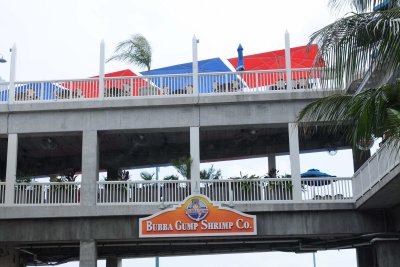 Madeira Beach _008.jpg