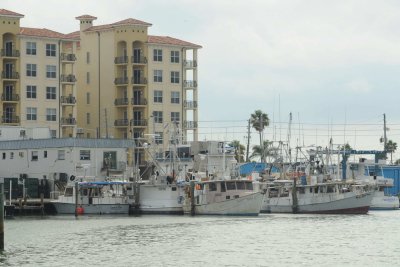 Madeira Beach _028.jpg