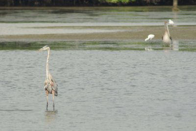 Madeira Beach _032.jpg