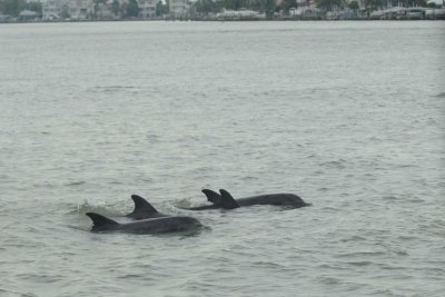 Madeira Beach _035.jpg