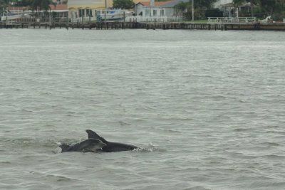 Madeira Beach _036.jpg