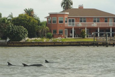 Madeira Beach _037.jpg