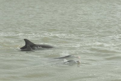 Madeira Beach _041.jpg