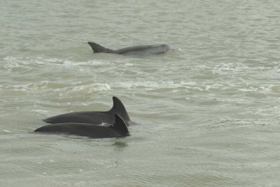 Madeira Beach _043.jpg