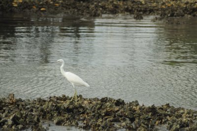 Madeira Beach _046.jpg