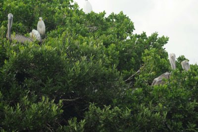Madeira Beach _048.jpg