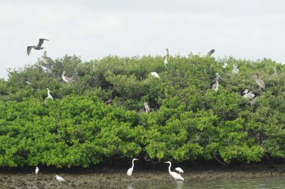 Madeira Beach _049.jpg