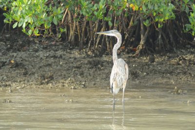 Madeira Beach _052.jpg