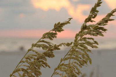Madeira Beach _070.jpg
