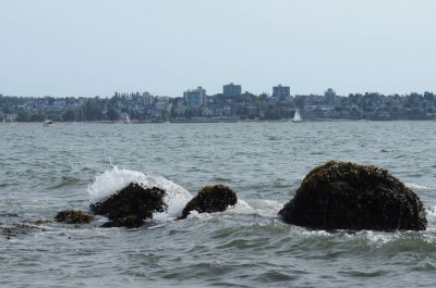 Aug 2, 2010  _014.jpg