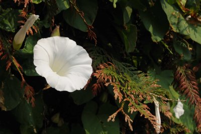 Aug 2, 2010  _017.jpg