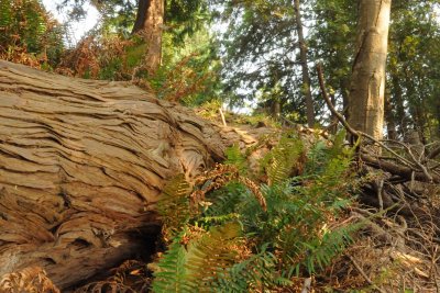 Aug 2, 2010  _018.jpg