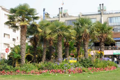 Aug 2, 2010  _021.jpg