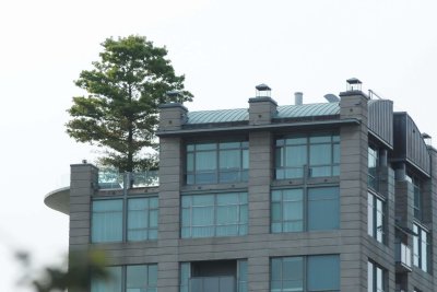 Aug 2, 2010  _022.jpg