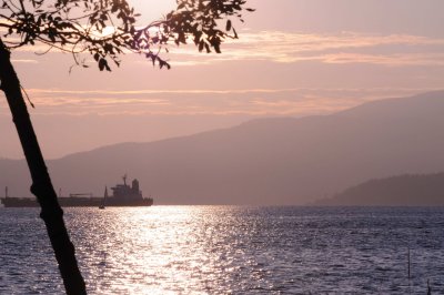 Aug 1, 2010  _005.jpg