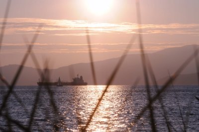 Aug 1, 2010  _006.jpg