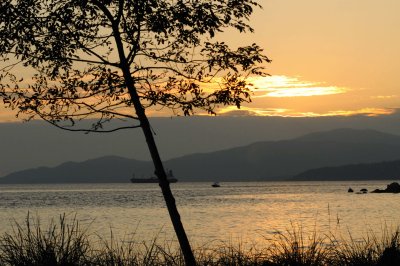 Aug 1, 2010  _024.jpg