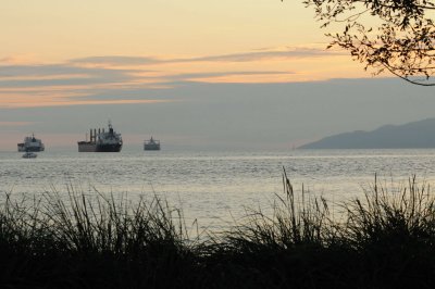 Aug 1, 2010  _026.jpg