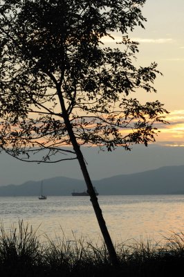 Aug 1, 2010  _029.jpg
