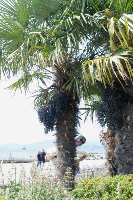 July 31, 2010  _020.jpg