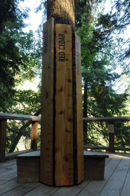 July 29, 2010 _016.jpg